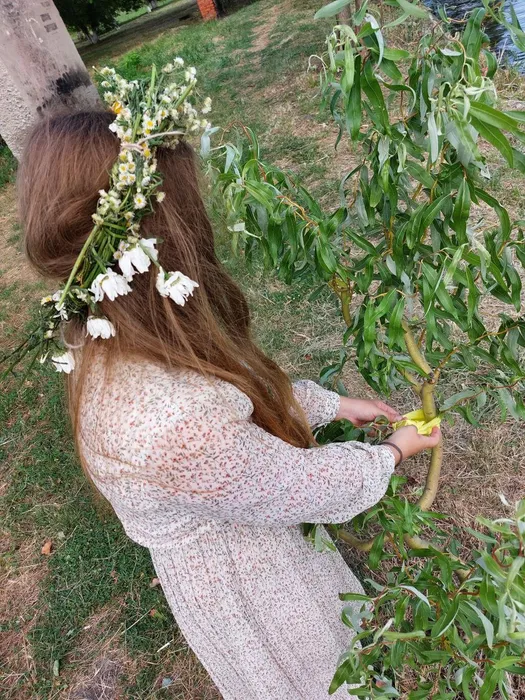 иван купала 3